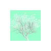 White Tree