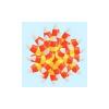 Candy Corn Coral