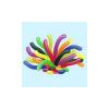 Jellybean Anemone