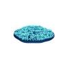 Aqua Carpet Anemone