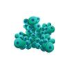 Aqua Money Acropora