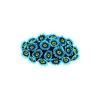 Aqua Zoanthid