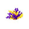 Bicolor Coral