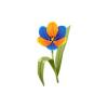 Blue n Orange Flower