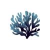 Blue Algae