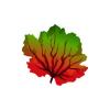 Decorative Sea Fan
