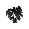 Black Taro Plant