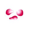 Falling Pink Petals