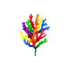 Rainbow Algae