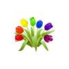 Rainbow Tulips