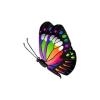 Colorsplash Butterfly