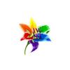 Colorsplash Lily