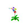 Colorsplash Orchid Feeder
