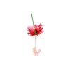 Feeding Lantern Hibiscus