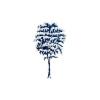 Winter Tree 3