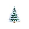 Winter Tree