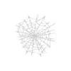 Spider Web