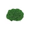 Realistic Coral  10