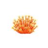 Realistic Coral  17