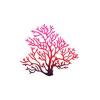 Realistic Coral 1