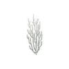 Realistic Coral 39