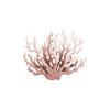 Realistic Coral  7