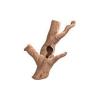 Driftwood