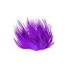 Purple Maidens Hair