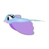 Blue Manta Ray