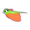 Green Manta Ray