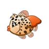 Cheetah Flying Fish