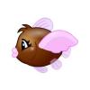 Chocolate Flying Fish