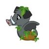 Island Boar