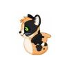 Calico the Sea Kitty