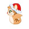 Tiger Santa Kitty