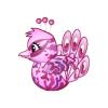 Pink Camo Peacock