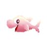 Cotton Candy Shark