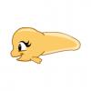 Tadpole Tots