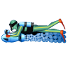 Parrotfish Scooter Diver
