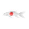 Charity Fish