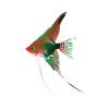 Festive Angel Fish