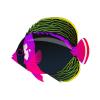 Hot Pink Angelfish