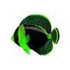 Neon Green Angelfish