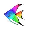 Rainbow Wave Angel
