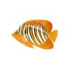 Amber Regal Angelfish