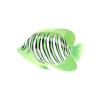 Apple Regal Angelfish