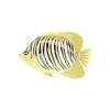 Cream Regal Angelfish