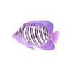 Lavender Regal Angelfish