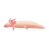 Axolotl