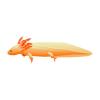 Orange Axolotl